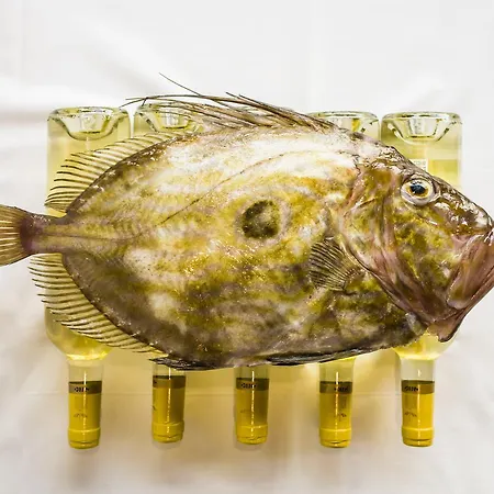 Rio Sil 3* Карбальо